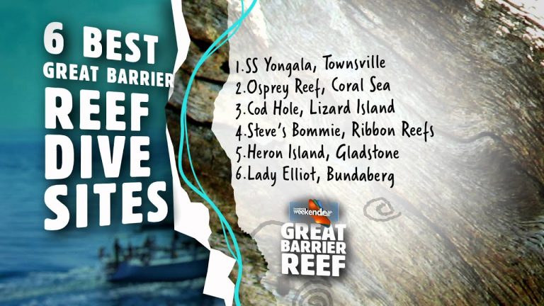 Six Best Great Barrier Reef Dive Sites