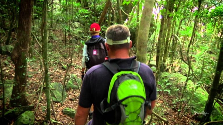 Exploring the Ngaro Sea Trail