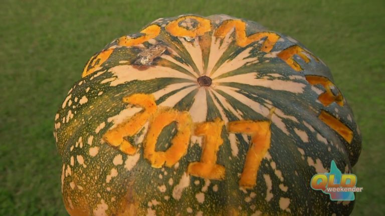 Goomeri Pumpkin Festival