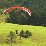 Canungra Paraglide