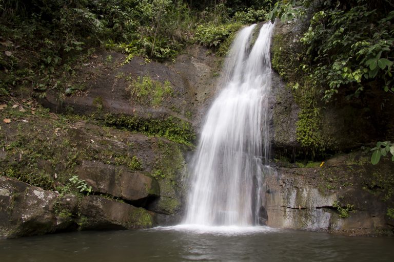 The Most Beautiful Waterfalls in Queensland