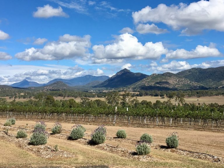 A Tasty Tour of the Scenic Rim with Drayhorse Shires