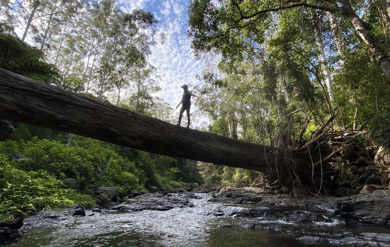 Escape to the Scenic Rim