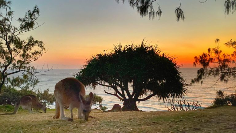 What to do on North Stradbroke Island