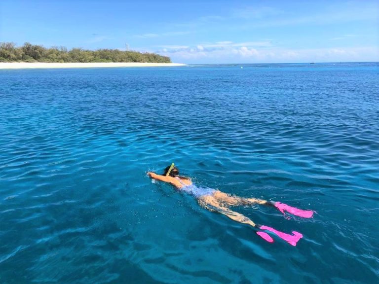 Queensland Shines!