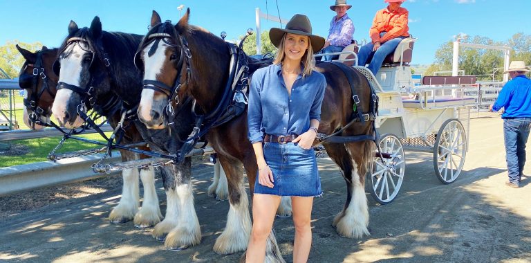 Scenic Rim’s Clydesdale Spectacular