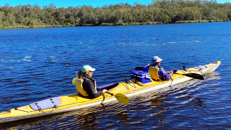 How to enjoy and help preserve Noosa’s Everglades