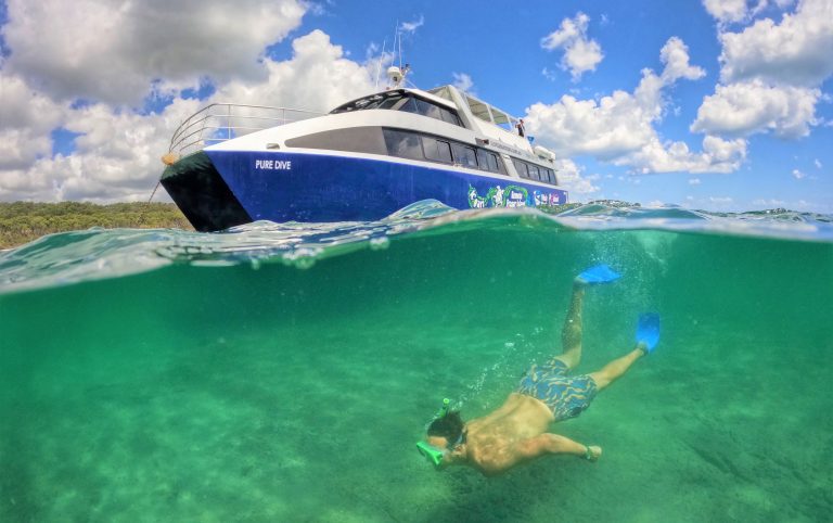 Why the Fraser Coast is a Marine Mecca