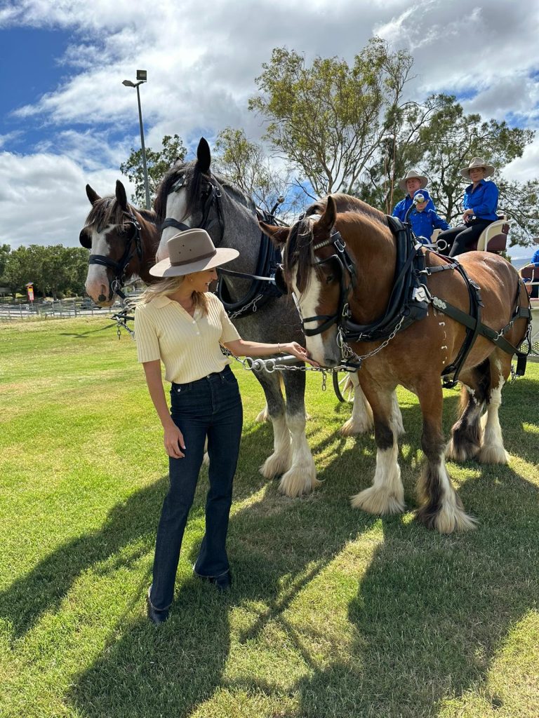 The Scenic Rim Clydesdale Spectacular