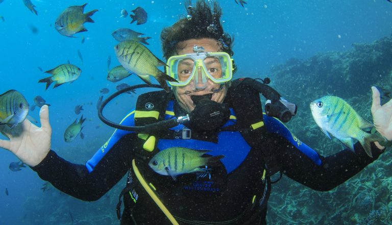 Cruise Whitsundays’ Reef World